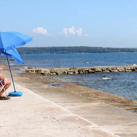 Apartamento With A Parking Space Novigrad - 7017